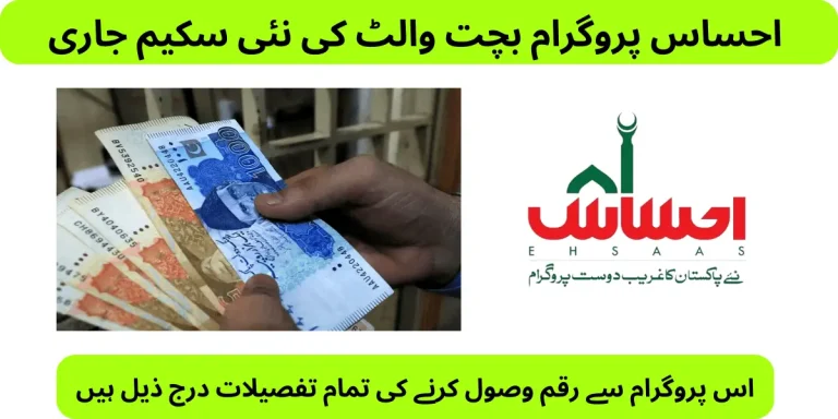 Ehsaas saving wallets