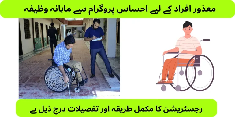 Ehsaas Disabled Person Program